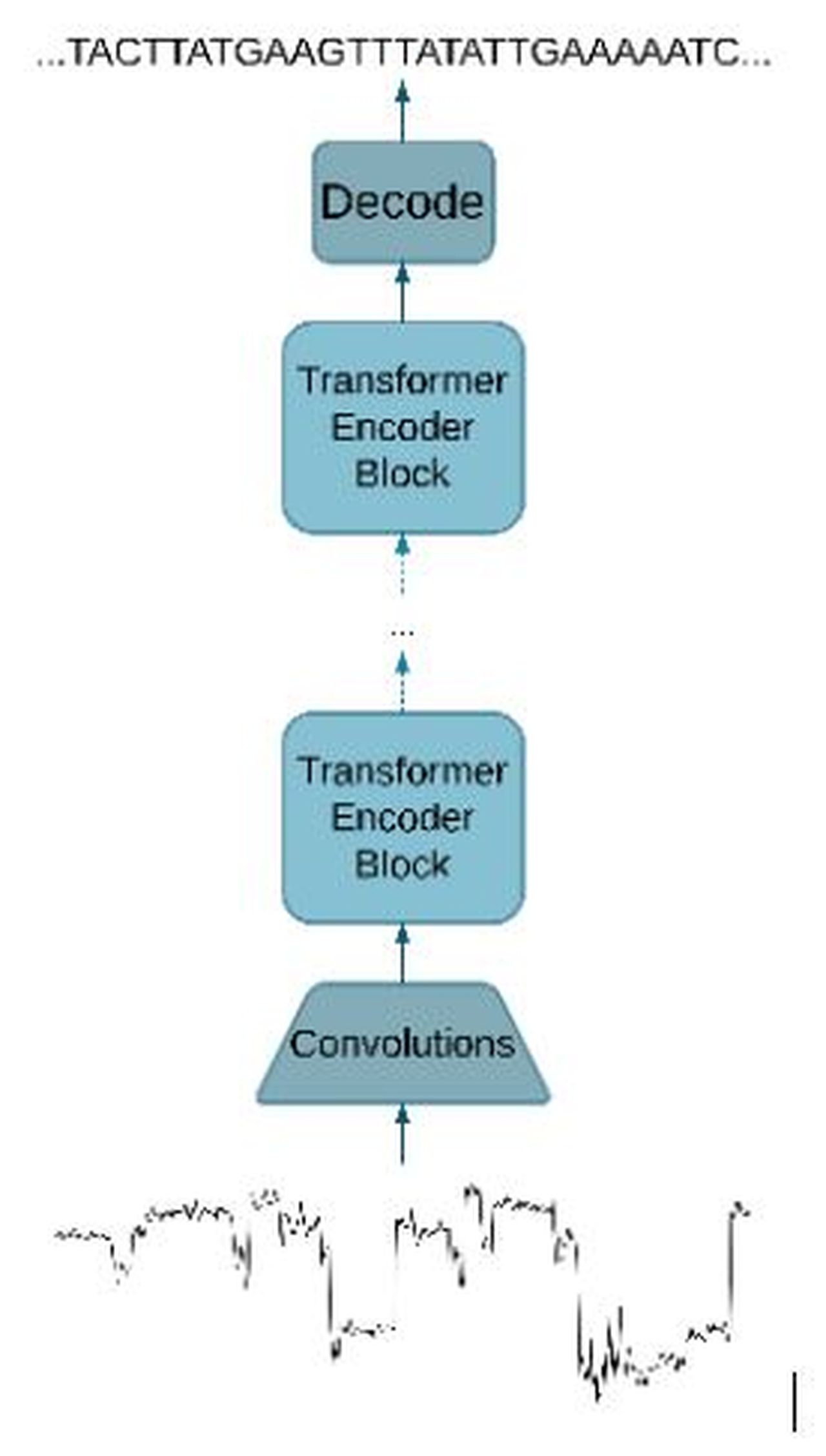 From LSTMs to Transformers