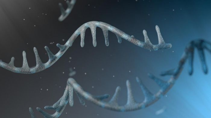 Application note: alternative transcript isoform detection with single cell and spatial resolution