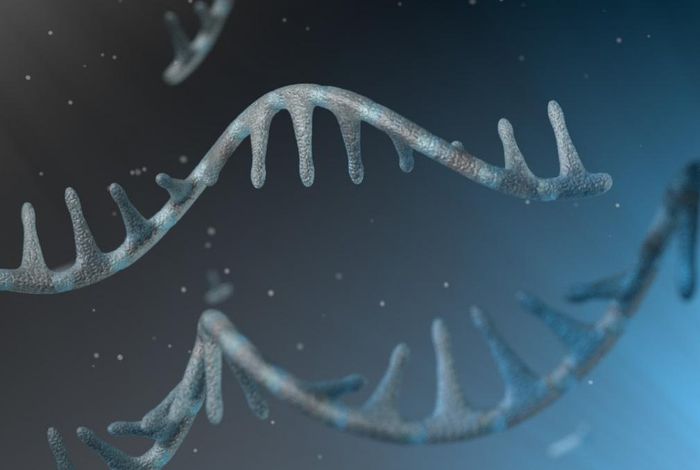 Application note: alternative transcript isoform detection with single cell and spatial resolution
