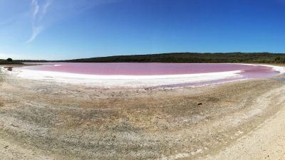 The Mystery of the Pink Lake