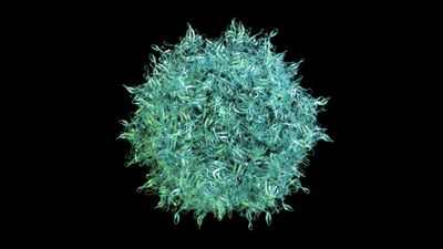 Webinar: rAAV genome sequencing uncovers transgene integrity and packaging impurities