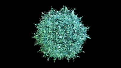 Recombinant AAV batch profiling by nanopore sequencing elucidates product-related DNA impurities and vector genome length distribution