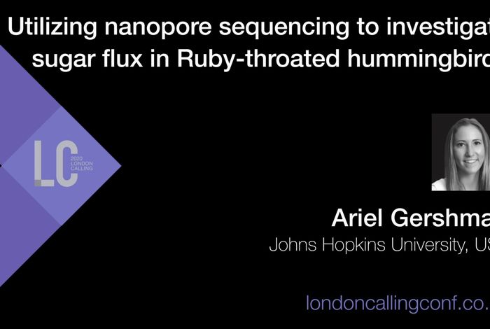 Utilizing nanopore sequencing to investigate sugar flux in Ruby-throated hummingbirds