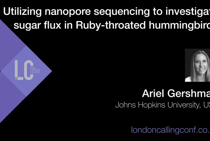 Utilizing nanopore sequencing to investigate sugar flux in Ruby-throated hummingbirds