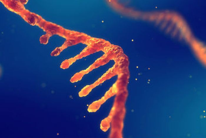 The SG-NEx project: nanopore long-read RNA-sequencing of human cancer cell lines webinar