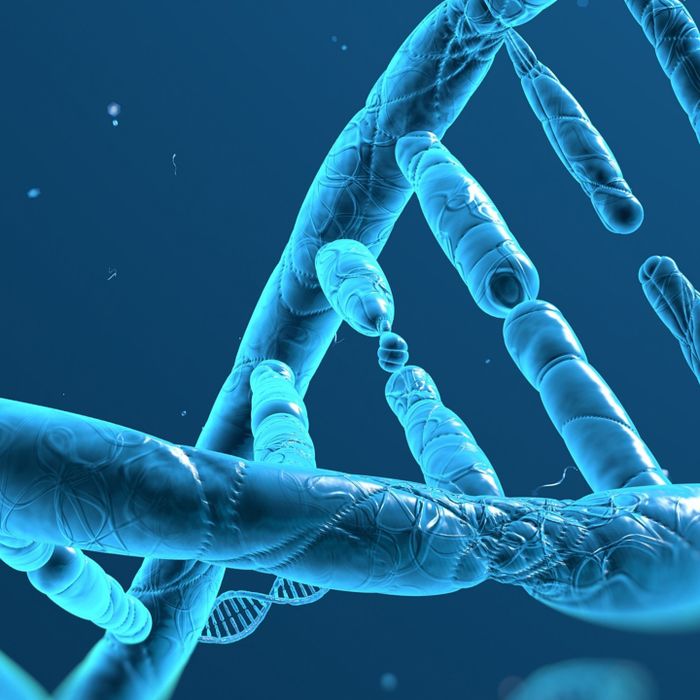 London Calling 2023: A complete analysis of human genomes and transcriptomes using nanopore sequencing