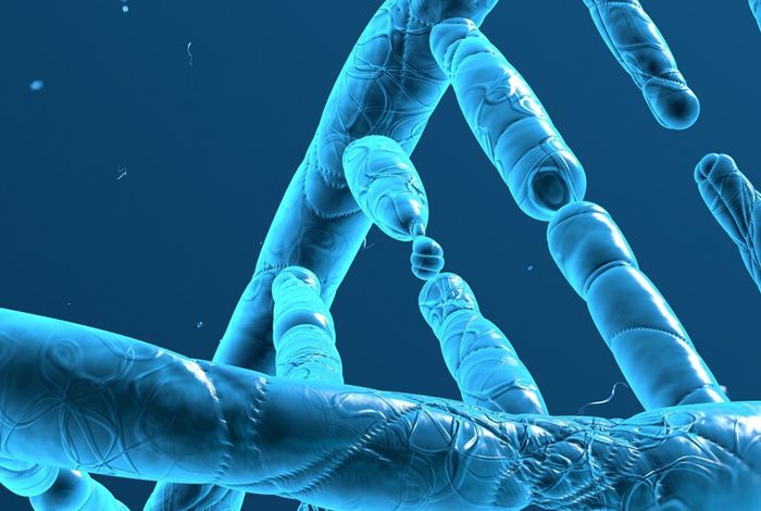 London Calling 2023: A complete analysis of human genomes and transcriptomes using nanopore sequencing