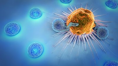 Lymphocytes killing cancer cell on blue background