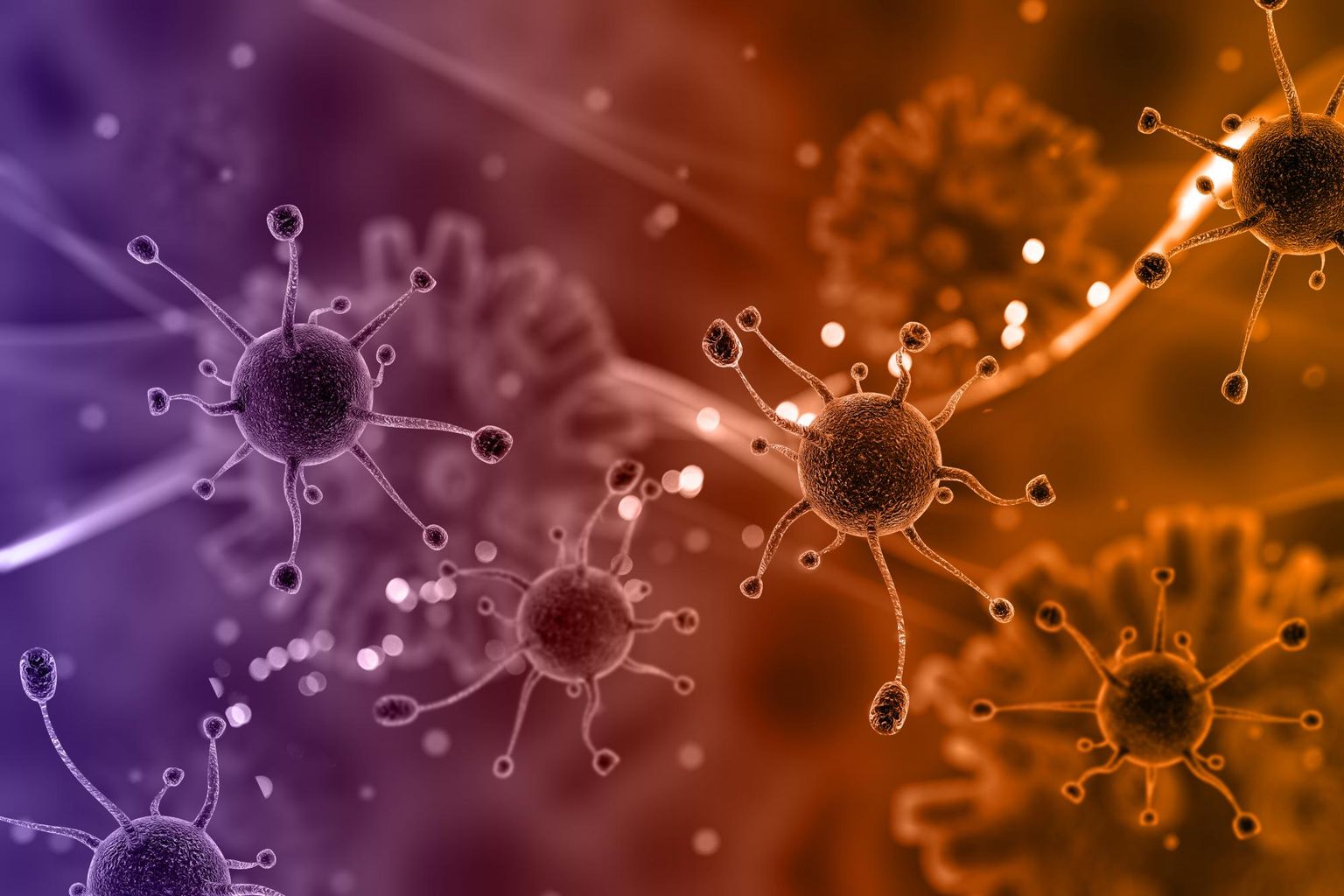 Genomic surveillance of recent dengue outbreaks in Colombo, Sri Lanka