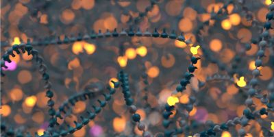 Long-read whole-genome sequencing-based concurrent haplotyping and aneuploidy profiling of single cells