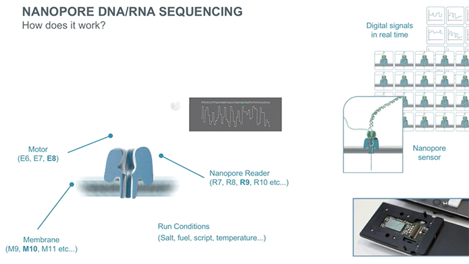 sub-$1000 human genomes on Nanopore (and other goodies for H1 2018)