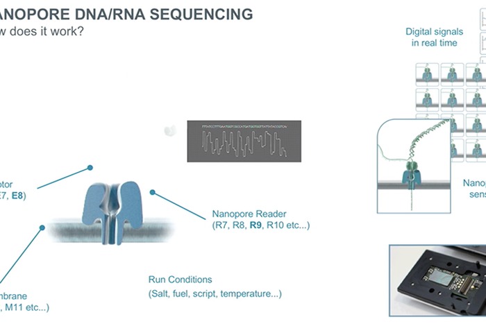 sub-$1000 human genomes on Nanopore (and other goodies for H1 2018)