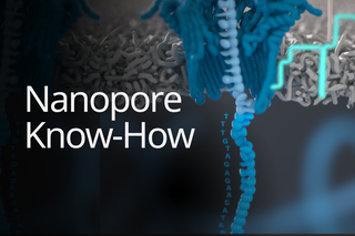 Visualisation of Oxford Nanopore DNA sequencing