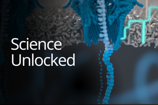 Science Unlocked DNA in a nanopore
