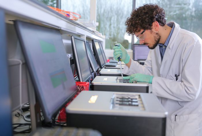 Brochure: Service Provider Programme