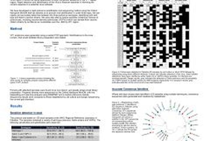 Rapid and sensitive direct detection and identification of poliovirus using nanopore sequencing