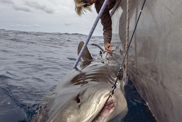 A decade of discovery with MinION: insights from two pioneer researchers