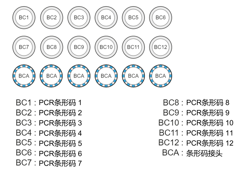 Chinese EXP-PBC001 Kit Content