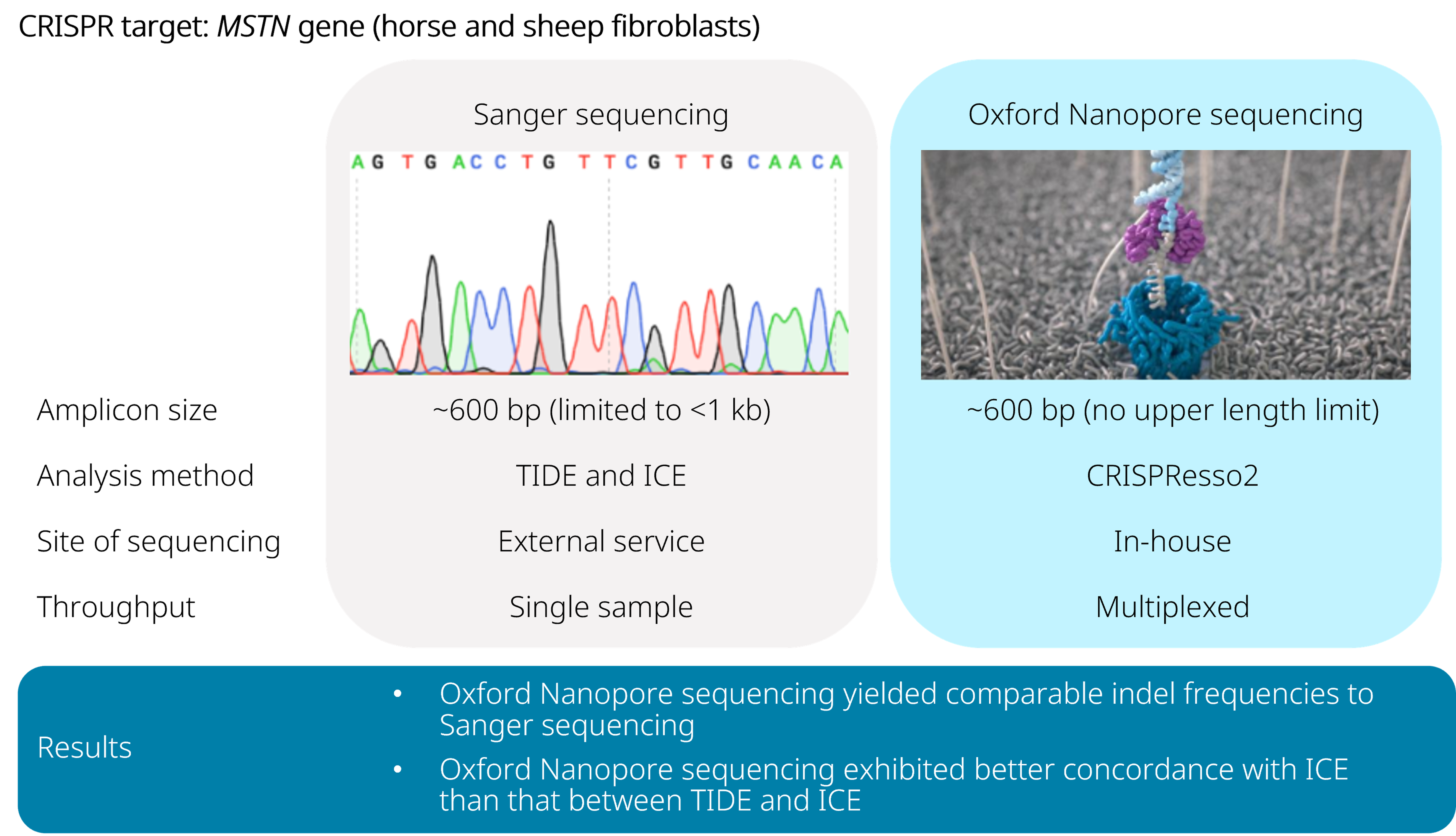 A visual abstract for McFarlane, Polanco, and Bogema (2024)