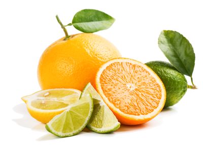 Webinar: multi-dimensional insights,in one go-streamlined T2T plant assemblies and integrated multi-omics