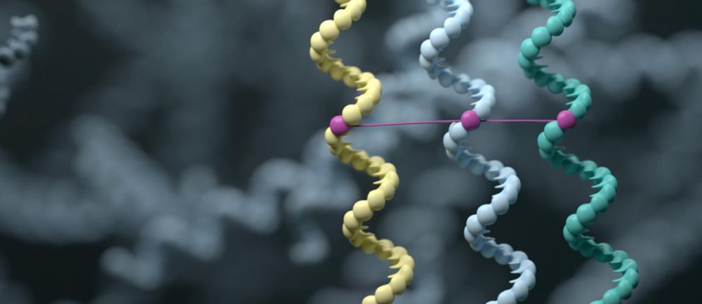 PromethION case study background