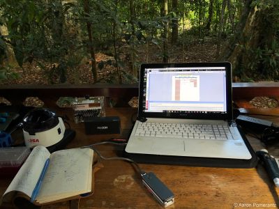 Aaron Pomerantz Publication Real-time DNA barcoding in a rainforest using nanopore sequencing opportunities for rapid biodiversity assessments and local capacity building
