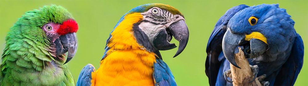 adobe-stock-280362862