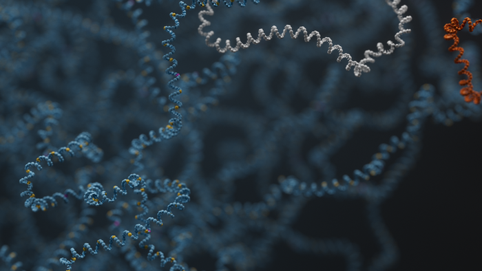High-throughput nanopore sequencing with Tecan DreamPrep® NGS