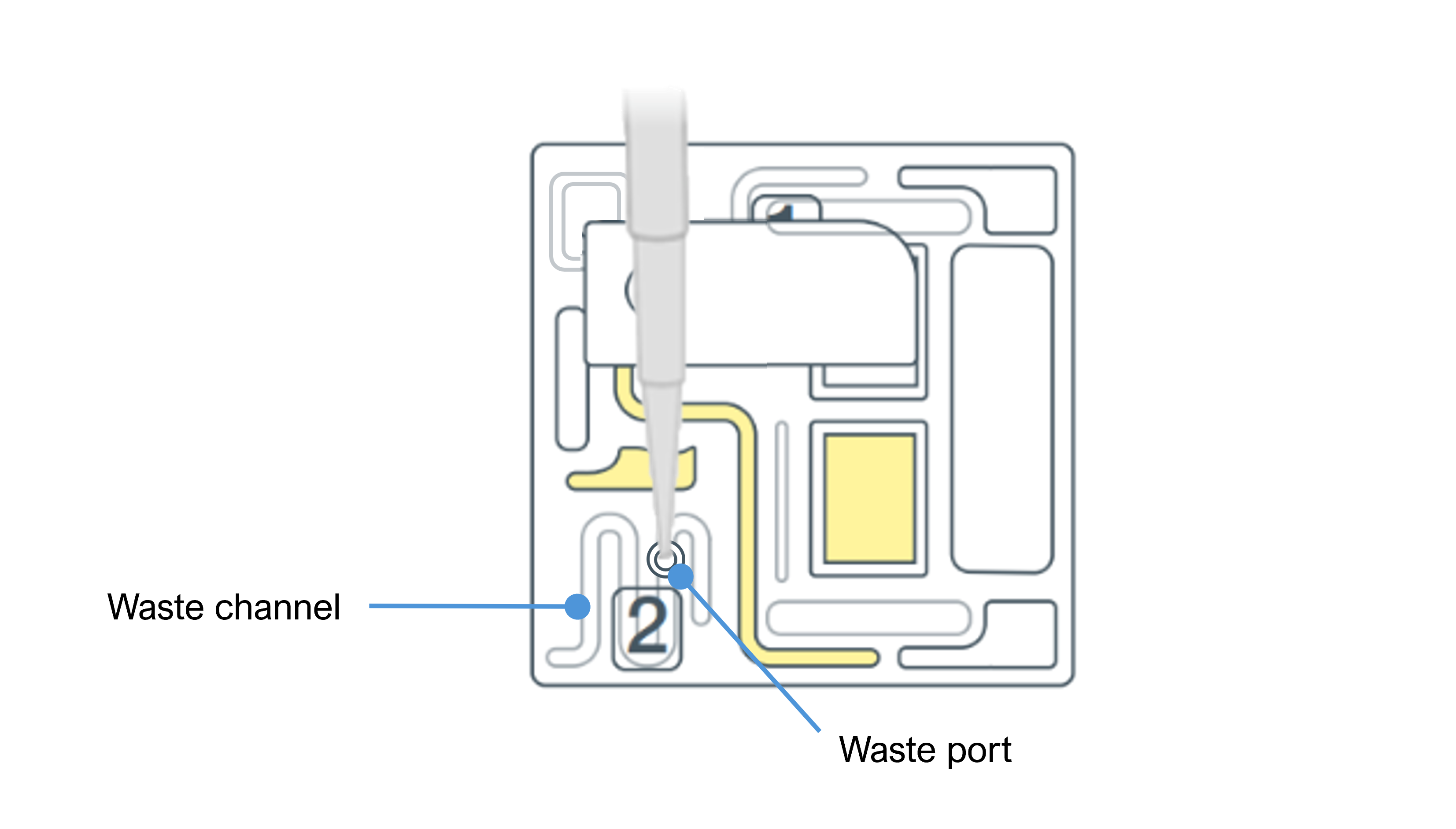 PromethION_Flow_remove_waste_buffer_July2025