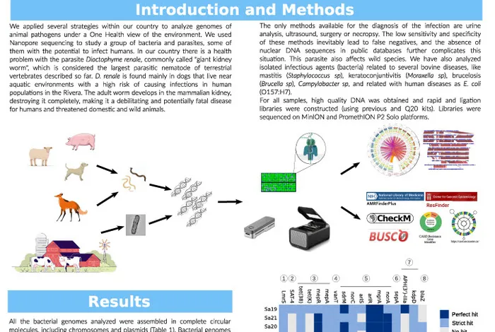 Real time nanopore sequencing for One Health approaches in Argentina