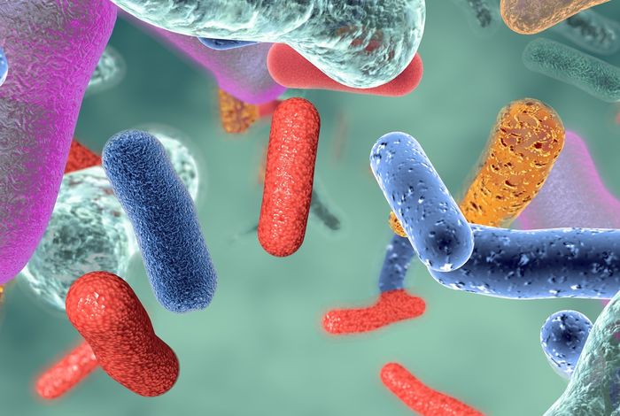 NCM 2021: Analysing regional and seasonal microbial community variation from a contaminated Montana river