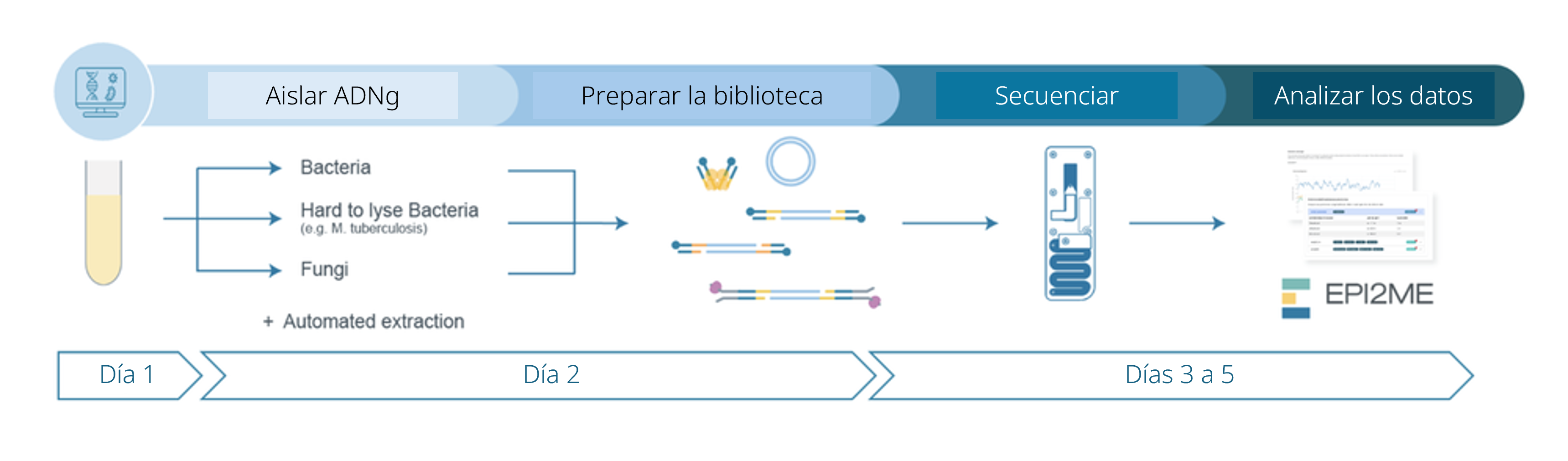 es-NO-MISS protocol workflow overview es-NO-MISS protocol workflow overview