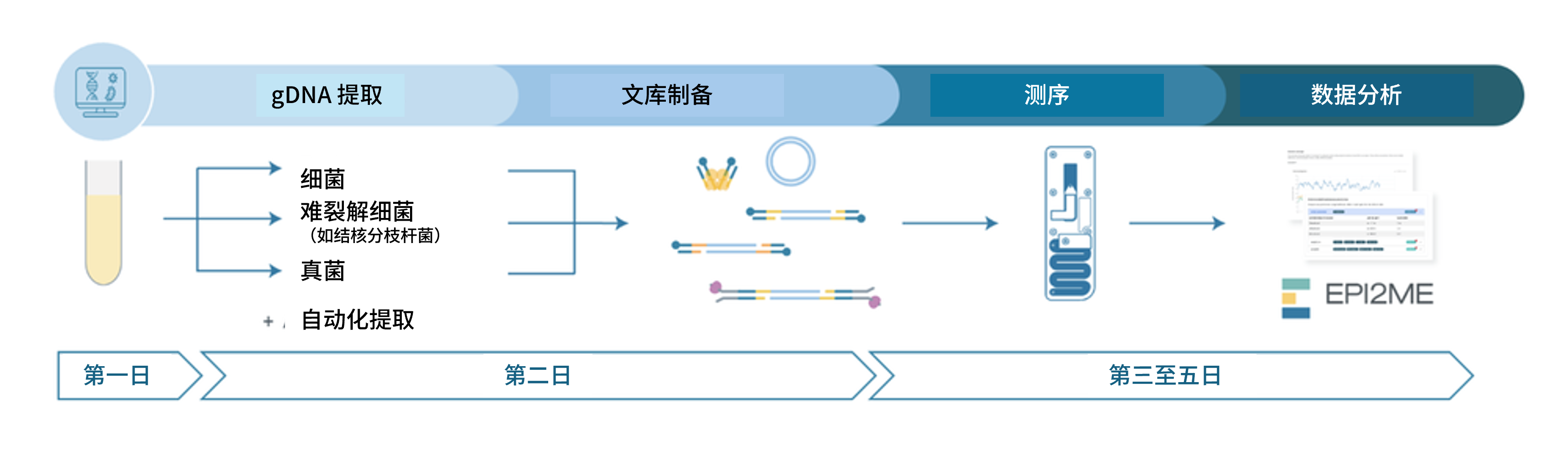 Chinese_NO MISS protocol workflow overview