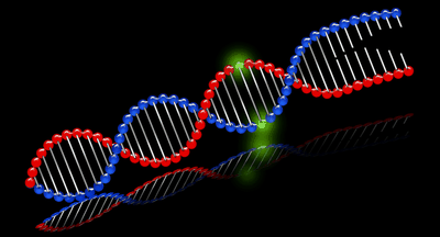 highlighted base pair of DNA helix