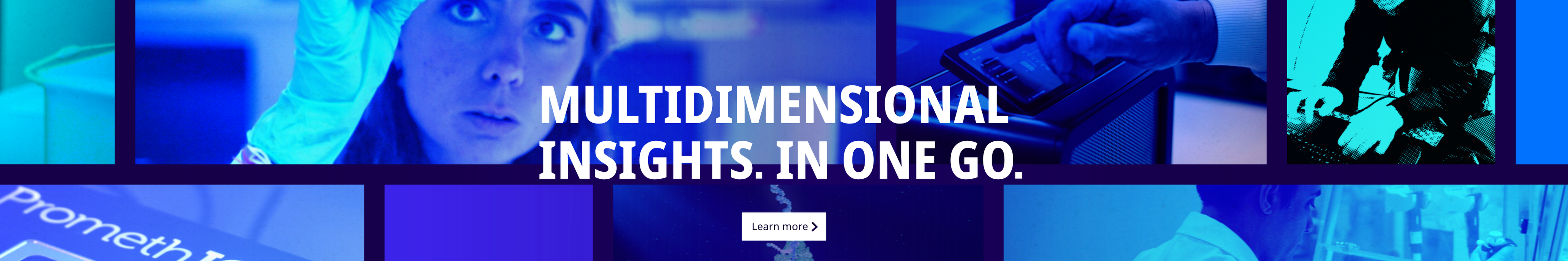 Indigo. In one go.