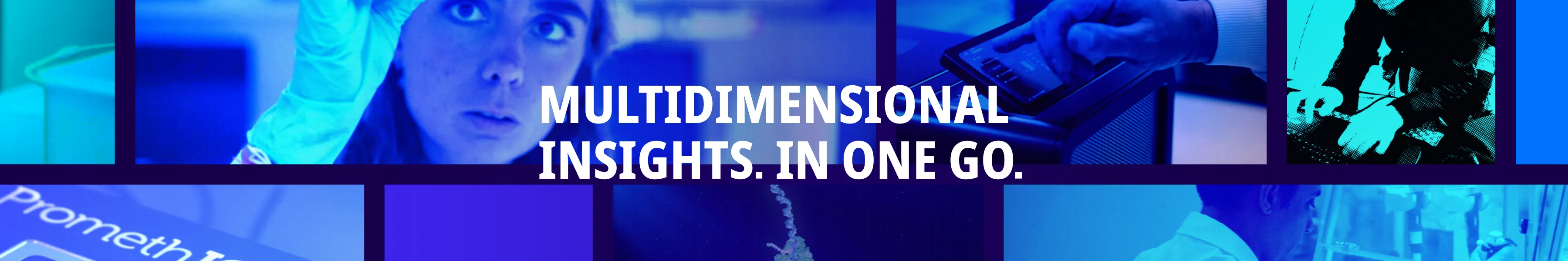 multidimensional insights