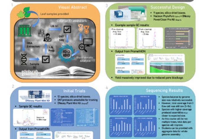 Taking long-read sequencing into the classroom