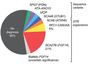 Overview of genetic findings for individuals with spastic-ataxia, from Rudaks et al. 2025