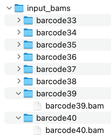 Input files