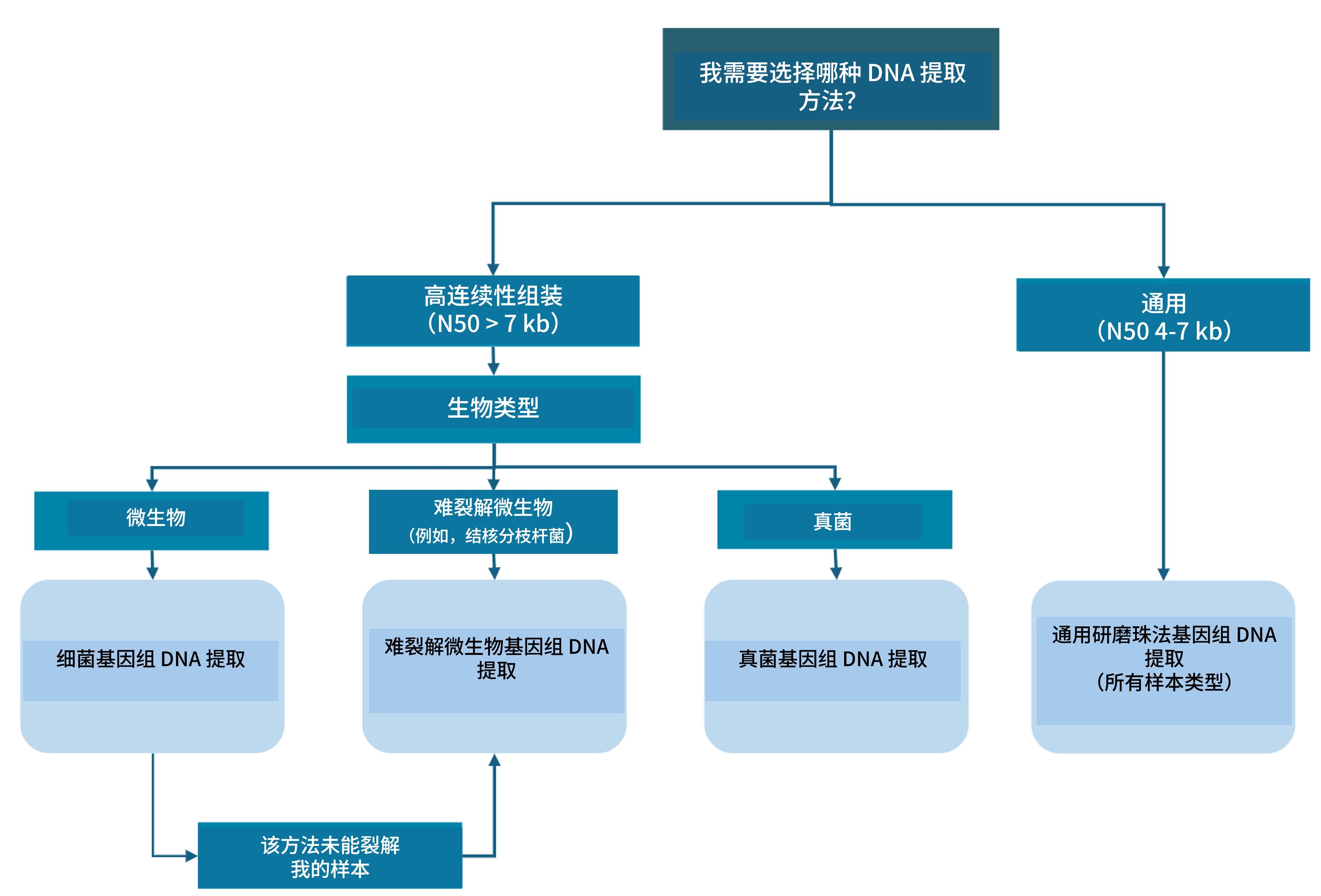 Chinese_Decision tree extract methods SVG