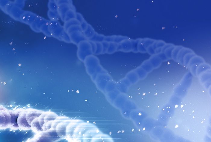 Transposable element expression at unique loci in single cells with CELLO-seq