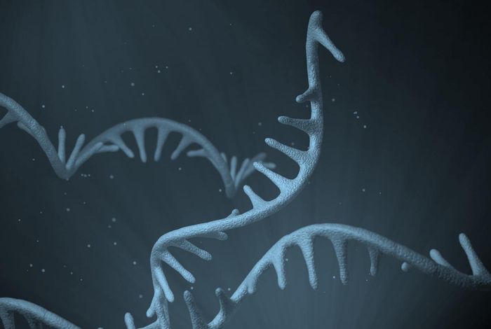 NCM 2022: Ultra-deep targeted transcript sequencing identifies isoform diversity across human pancreatic development