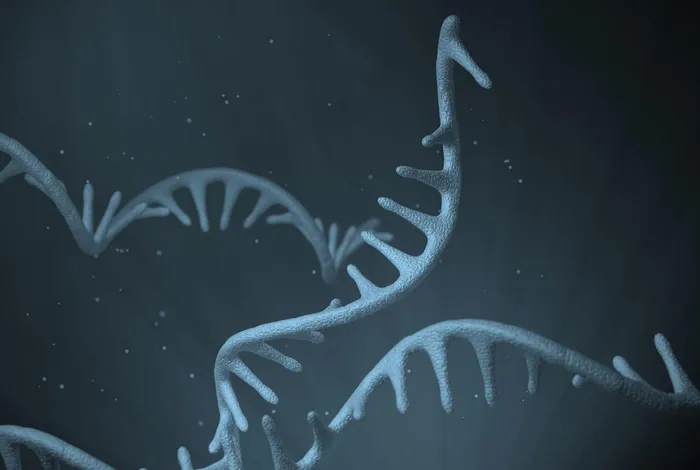 NCM 2022: Ultra-deep targeted transcript sequencing identifies isoform diversity across human pancreatic development