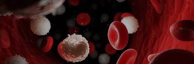 Comparison of nanopore with Illumina whole genome assemblies of the Epstein-Barr virus in Burkitt lymphoma