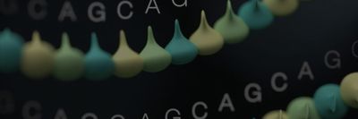 ELRIN: a European diagnostic long read sequencing network | ESHG 2025