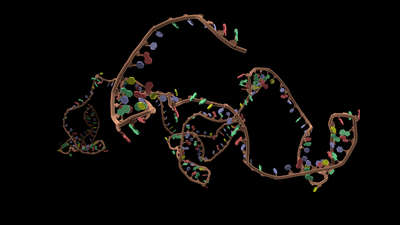Free floating RNA strand on black background