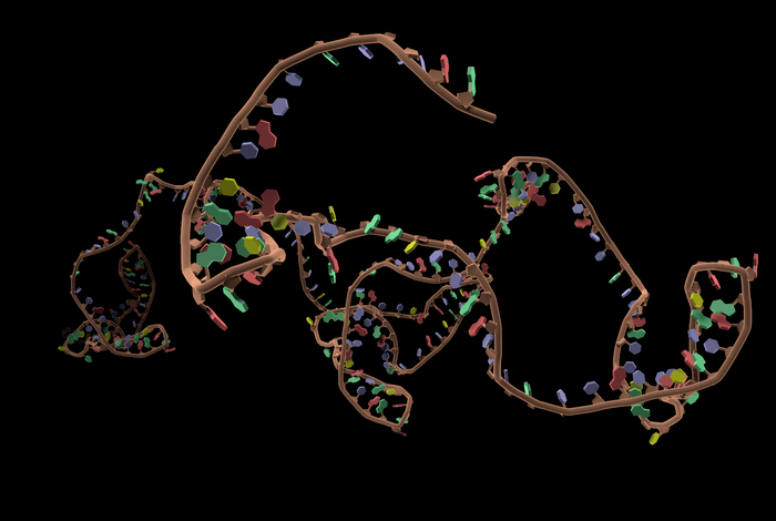 Improving nanopore read accuracy with the R2C2 method enables the sequencing of highly multiplexed full-length single-cell cDNA