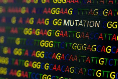 word mutation contained within a DNA sequence