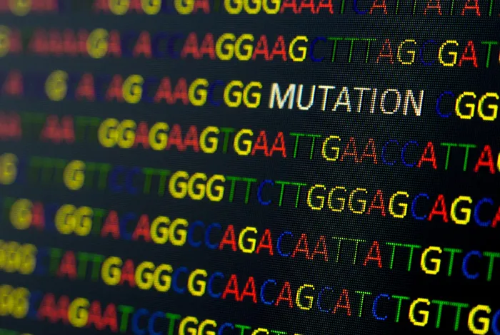 Rapid identification of genomic structural variations with nanopore sequencing enables blood-based cancer monitoring