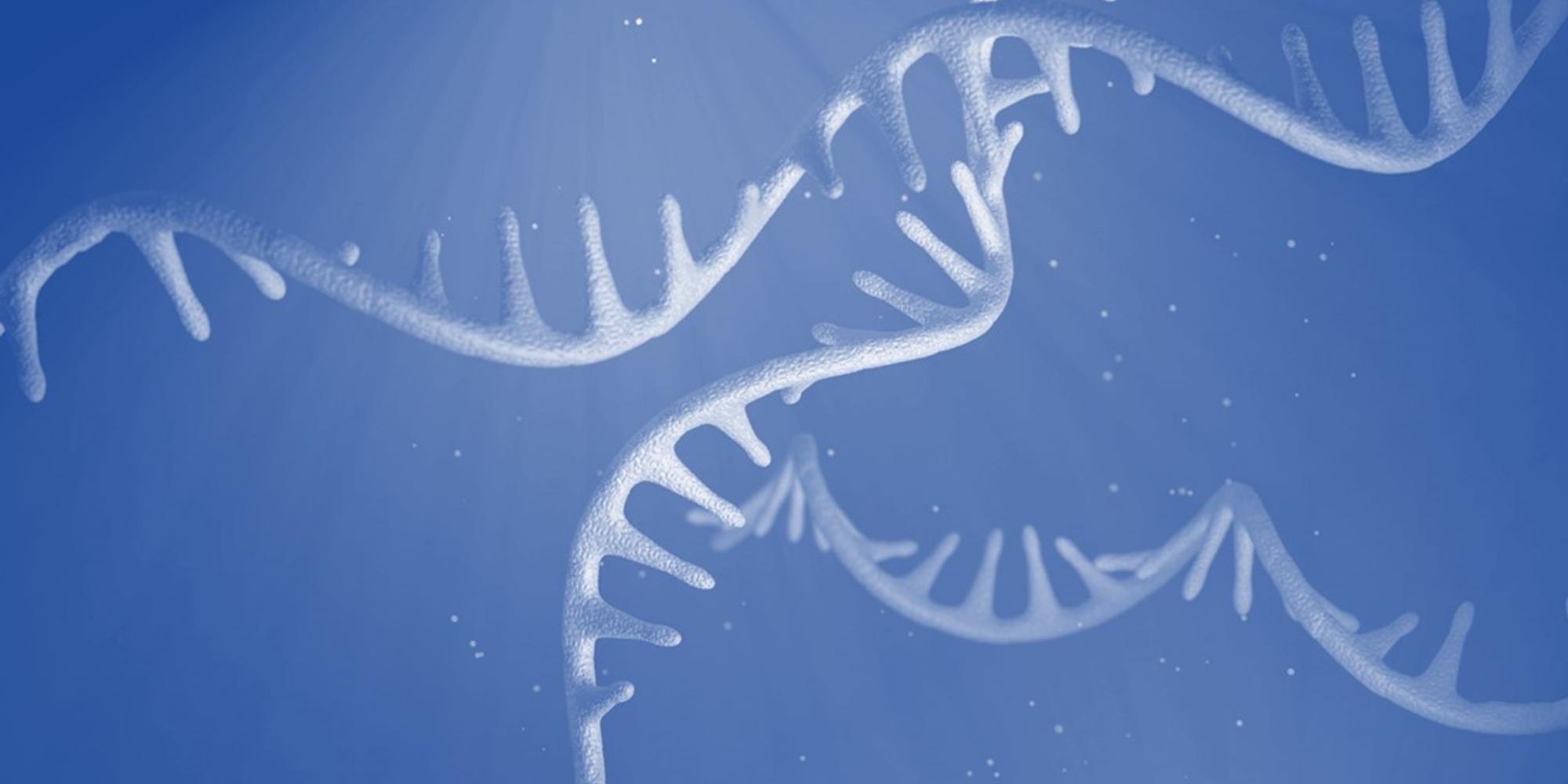 RISER: real-time *in silico* enrichment of RNA species from nanopore ...